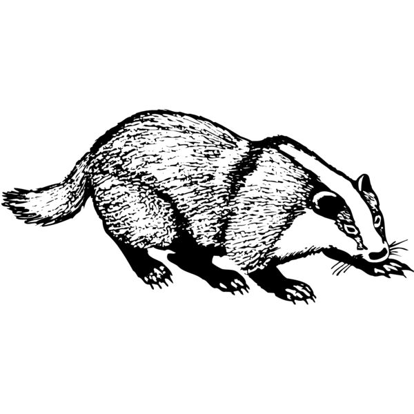 BADGER03 Thumbnail