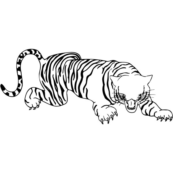 CAT09 Thumbnail