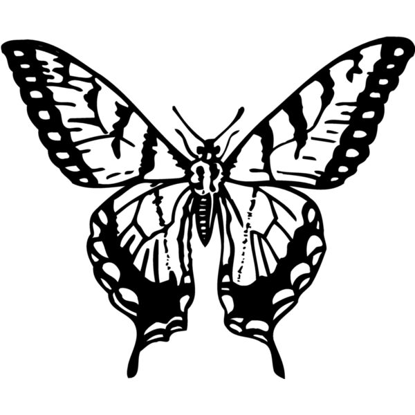 BTRFLY06 Thumbnail